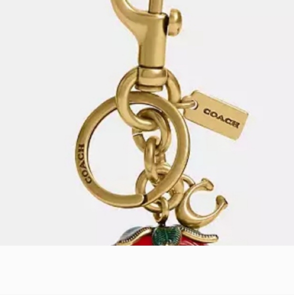 Coach Authentic Strawberry Bag Charm